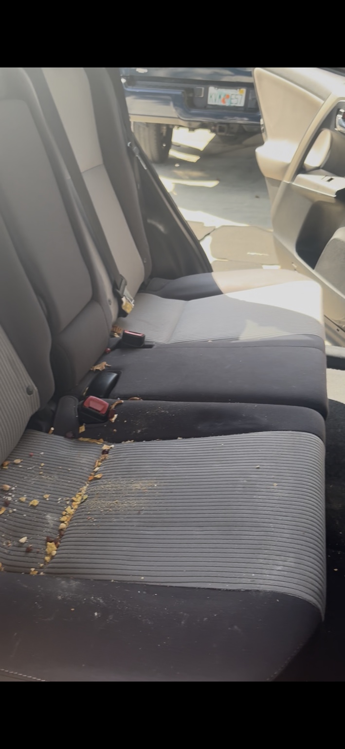 Seat before detailing